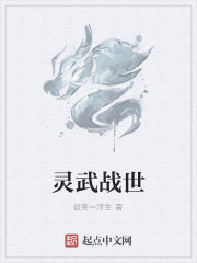灵武战世