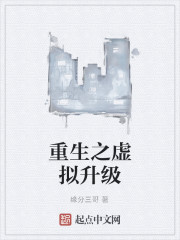 重生之虚拟升级
