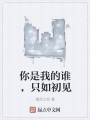 你是我的谁，只如初见